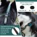 Buy Green Dog Muzzle - Adjustable 1 Piece (Snout 16.5-19.7 cm) for Comfortable Fit - International Shipping Available - Buy Online on GoSupps.com