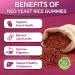 Red Yeast Rice 2400mg Gummies Red Yeast Rice Supplement for Men & Women Support Heart Health Energy Support Sugar-Free Vegan Non-GMO Strawberry Flavor - 120 Count 60 Count (Pack of 2) - Buy Online on GoSupps.com