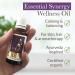 Pranarom - Essential Synergy Wellness Oil - 30ml - Buy Online on GoSupps.com