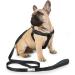 Doodlebone Originals Sapphire 1-2 Dog Harness - Comfortable and Stylish - Buy Online on GoSupps.com
