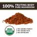 Longevity Botanicals Organic Reishi Mushroom Powder - Immune Support & Stress Relief - 3.5 oz - Buy Online on GoSupps.com