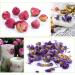 NANA Dried Flowers - Lavender, Rosebud, Jasmine, Chamomile - Edible Herbs Bulk for Bath Bomb, Candle, Soap Making - Buy Online on GoSupps.com