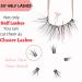 Heracks 14 Pairs Half Lashes Natural Look Cat-Eye Wispy Fluffy False Eyelashes - Reusable DIY Pack (HFS38+HFS62) - Buy Online on GoSupps.com