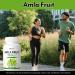 Mysurty Amla Fruit Capsules | amlafruit Extract | Amla Supplement | Capsules for Men & Women - 60 Capsules (Pack 1) - Buy Online on GoSupps.com
