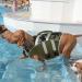 Kuoser Dog Life Jacket - Durable & Buoyant Dog Swimming Vest for Small Medium & Large Dogs - High Safety in Green Camouflage - Buy Online on GoSupps.com