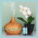 100% Pure Peppermint Essential Oil for Aromatherapy - Refreshing Scent for Diffusers, Baths, Hair, Skin, Nails - 1oz - Buy Online on GoSupps.com