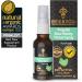 BEE and YOU Propolis Throat Spray - 300 mg Bee Propolis per day - Natural Immune Support Sore Throat Relief Antioxidants Keto Paleo Gluten-Free 1 Fl Oz (30 ml) (Propolis) - Buy Online on GoSupps.com