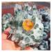 Natural Crystal Rough 550g Quartz Cluster Natural Green Ghost Crystal Cluster Inlaid with Yellow Specimen
