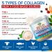 Multi Collagen Powder with Biotin, Vitamin C & Hyaluronic Acid - Skin, Hair, Nail & Joint Support - Paleo & Keto Friendly - Bovine, Marine, Chicken & Eggshell - Gluten-Free & Non-GMO - Buy Online on GoSupps.com