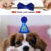 Shop Dher Pet Birthday Set - Gold Sequin Hat & Decor for Dogs & Cats - Festive Party Accessories (Blue) - Buy Online on GoSupps.com