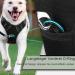No Pull Dog Harness | Adjustable Reflective Soft Padded Chest Harness for Dogs - Breathable Design (Red M) - Buy Online on GoSupps.com