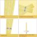 Organic Beeswax Ear Candles Set with Protective Disks - 10pcs - Buy Online on GoSupps.com