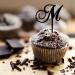 Letter M Cupcake Toppers Monogram Initial Last Name Laurel Wreath Rustic For Wedding Engagement Party Decorations Reusable Personalized Any 26Letters Wedding Gifts 6PCS Style-5 - Buy Online on GoSupps.com