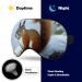 Squirrel Snow Sleep Eye Mask & Blindfold for Women Men - Elastic Strap for Sleep, Travel, Nap - Buy Online on GoSupps.com