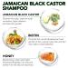 Jamaican Black Castor Oil Shampoo & Conditioner Set - Strengthen & Restore Thinning Hair | 2-in-1 Biotin Rosemary Oil Formula Sulfate Free Hair Growth Solution - Buy Online on GoSupps.com