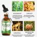 Rosemary Oil for Hair Growth 60 ml Organic Rosemary Essential Oil 100% Pure Natural Rosemary Essential Oil Eyebrows Face and Body Care Suitable For Men and Women To Prevent alopecia blue - Buy Online on GoSupps.com
