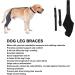 Dog Knee Brace for Hind and Rear Leg Knee Brace for Dog Support for Dog ACL CCL Cruciate Ligament Injury Joint Pain and Muscle Sore(XL/Left) - Buy Online on GoSupps.com