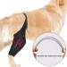 Hip Brace for Dogs Large Dog Rear Leg Support Back Leg Hip Support with Metal Strip High Elasticity Breathable Leg Protector for Recovery Period Black X-Small - Buy Online on GoSupps.com