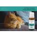 Cat Bach Flowers Globuli Relax - Natural Sedative for Cats | C30 for Calm during Travel Noise & Fear - Buy Online on GoSupps.com