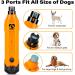 Casfuy 6-Speed Dog Nail Grinder - Rechargeable Painless Paws Grooming Tool for Dogs - Orange - Buy Online on GoSupps.com