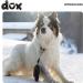 Ddoxx Reflective Nylon Dog Leash - Bite-Proof Roller Leash with Lock System | XS 3m for Dogs Up to 8kg - Black - Buy Online on GoSupps.com