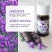 Healing Solutions Lavender Essential Oil 10ml - 0.33 fl oz | Pure & Natural Aromatherapy Oil - Buy Online on GoSupps.com