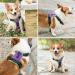 Phoepet 2019 Reflective Dog Harness for Large Breeds - Adjustable No Pulling Vest with Handle 2 Metal Rings 3 Buckles - Easy to Put On & Take Off (XL Violet) - International Shipping - Buy Online on GoSupps.com