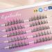 Shop Individual Cluster Lashes - 3D Effect Volume Lashes C Curl 5 Rows Best Eyelash Extensions for Home Makeup - Buy Online on GoSupps.com