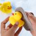 2pcs Silicone Body Scrubber Set - Exfoliating Massage Brush for Shower Cleaning - Buy Online on GoSupps.com