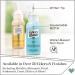 Plaid Gallery Glass Window Color Beginner Set 2oz (8-Pack) - Create Stunning Stained Glass Effects! - Buy Online on GoSupps.com
