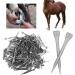 High Tensile Strength Horseshoe Nails - E5 Quality | 250 Easy-to-Use Hoof Nails for Horses - International Shipping - Buy Online on GoSupps.com