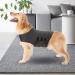 Zongha Anti-Stress Vest for Dogs | Panic Relief Jacket for Anxious Dogs | Medical Dog Coat in Gray (Small) - Buy Online on GoSupps.com