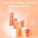 Umberto Giannini Grow Long & Smooth Wonder Blow Dry Hair Spray 5.9 fl Oz - Heat protection and Anti Humidity Blow Dry Spray for All Hair Types - Vegan & Cruelty Free - Paraben Free - Buy Online on GoSupps.com