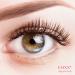 Eoxx Eyelash & Eyebrow Serum - 4ml Lash Booster for Fast Growth | Test Winner for Eyelash Extensions | Made in Germany - Buy Online on GoSupps.com