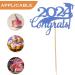 Cabilock 15pcs Graduation Cupcake Topper 2024 Congrats Cupcake Picks Class of 2024 Cupcake Insert Graduation Cupcake Decorations for 2024 Graduation Party Supplies Blue - Buy Online on GoSupps.com