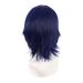 Mapofbeauty 14 inch Dark Blue & Black Short Cosplay Anime Wig with Pony Wolf Tail - Synthetic Hair for Parties - Buy Online on GoSupps.com