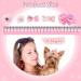 40 Pieces Handmade Dog Bows | Cute Puppy Hair Accessories with Rubber Bands, Lace, Organza, Rhinestone & Pearls | Multicolor Grooming Bows - Buy Online on GoSupps.com