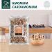 Soeos Amomum Cardamomum 4oz (113g) - Authentic White Cardamom Herb Cluster - Buy Online on GoSupps.com