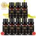 Aromatherapy Bergamot Essential Oil Set for Diffuser 100% Pure Vanilla Essential Oils Kit Top 8x10ml Therapeutic Grade-Ylang Ylang Patchouli Clary Sage Black Pepper Vetiver etc Essential Oils - Buy Online on GoSupps.com