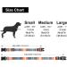 Suredoo Adjustable Soft Nylon Dog Collar for Small & Medium Dogs | Comfort Fit in Orange (S 25-40 cm) - Buy Online on GoSupps.com