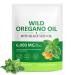 Oil of Oregano with Black Seed Oil - 120 Softgels - 2 in 1 Oregano Supplement Non-GMO Plant Based