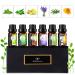Fresh Essential Oils Set 6x10ml Aromatherapy Oil Gift Kit for Diffuser Fragrance Humidifiers Air Purifier- Tea Tree Bergamot Rosemary Lavender Lemon Peppermint Fresh Scent 2.02 Fl Oz (Pack of 1)
