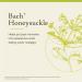 Bach Original Flower Remedies Honeysuckle - Embrace The Now - Natural Homeopathic Flower Essence for Emotional Balance - Vegan Gluten Free Sugar Free - 20mL Dropper - Buy Online on GoSupps.com