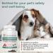 5 Defenders Mushroom Supplements for Cats & Dogs - Vet-Approved Health Support with Chaga, Shiitake, Reishi & Turkey Tail Mushrooms - 90ct Powder Capsules - Buy Online on GoSupps.com