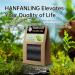 HANFANGLING Grape Oolong Tea - Metabolism Boost, Stress Relief, Immunity Support - Loose Leaf Tea for Tea Lovers - Buy Online on GoSupps.com