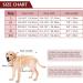 Kuoser Dog Tuxedo Suit & Bandana Set for Large Dogs | Formal Wedding Attire with Bow Tie | Dark Red | L 16.5 Back, 20.9-25.6 Chest | Golden Retriever, Samo Bulldogs - Buy Online on GoSupps.com