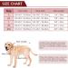 Buy Kuoser Dog Smoking Suit & Bandana Set - Stylish Pet Formal Clothing for Weddings Halloween & Birthdays - S-XXL (Back Length: 29 cm) - Dark Red - Buy Online on GoSupps.com