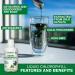Organic Mint Flavored Liquid Chlorophyll - Cold Extracted from Non-GMO Alfalfa - Natural Body Deodorant and Antioxidant - 16 fl oz - Buy Online on GoSupps.com