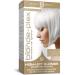 Smart Beauty Ash Blonde Hair Dye Permanent with Plex Anti-Breakage Technology that Protects Rebuilds Restores Hair Structure Permanent Hair Colour Ash Blonde Hair Dye Vegan Cruelty Free
