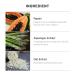 Gadi Place Active Clean-Up Powder 90g | Enzyme Face Wash | K-Beauty Deep Cleansing Powder - Buy Online on GoSupps.com